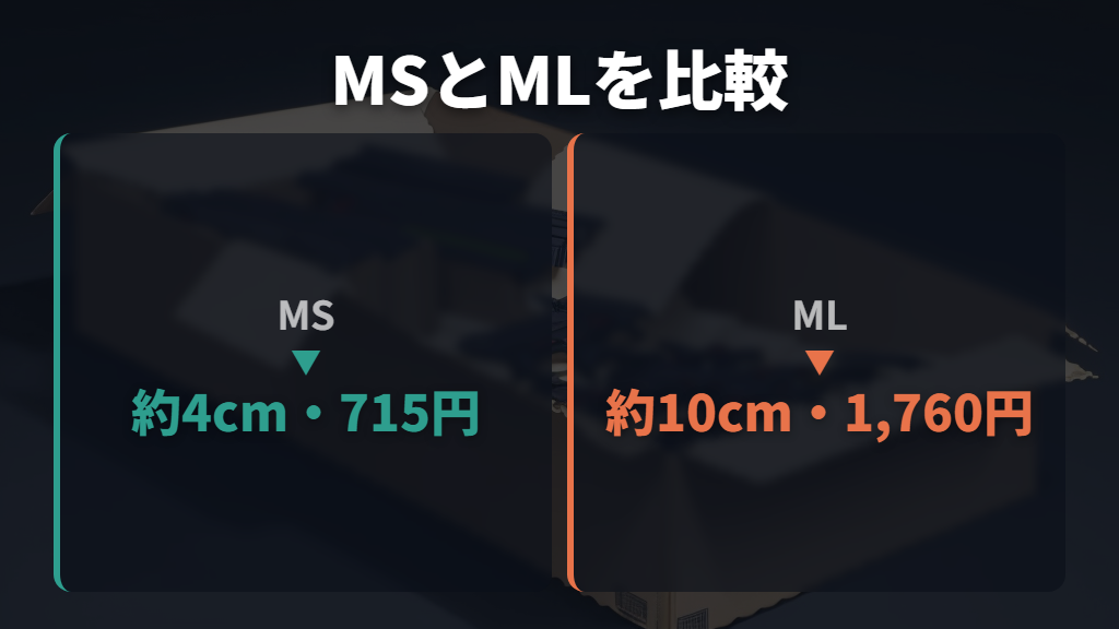 MSとMLはサイズと価格が違う